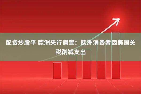 配资炒股平 欧洲央行调查：欧洲消费者因美国关税削减支出